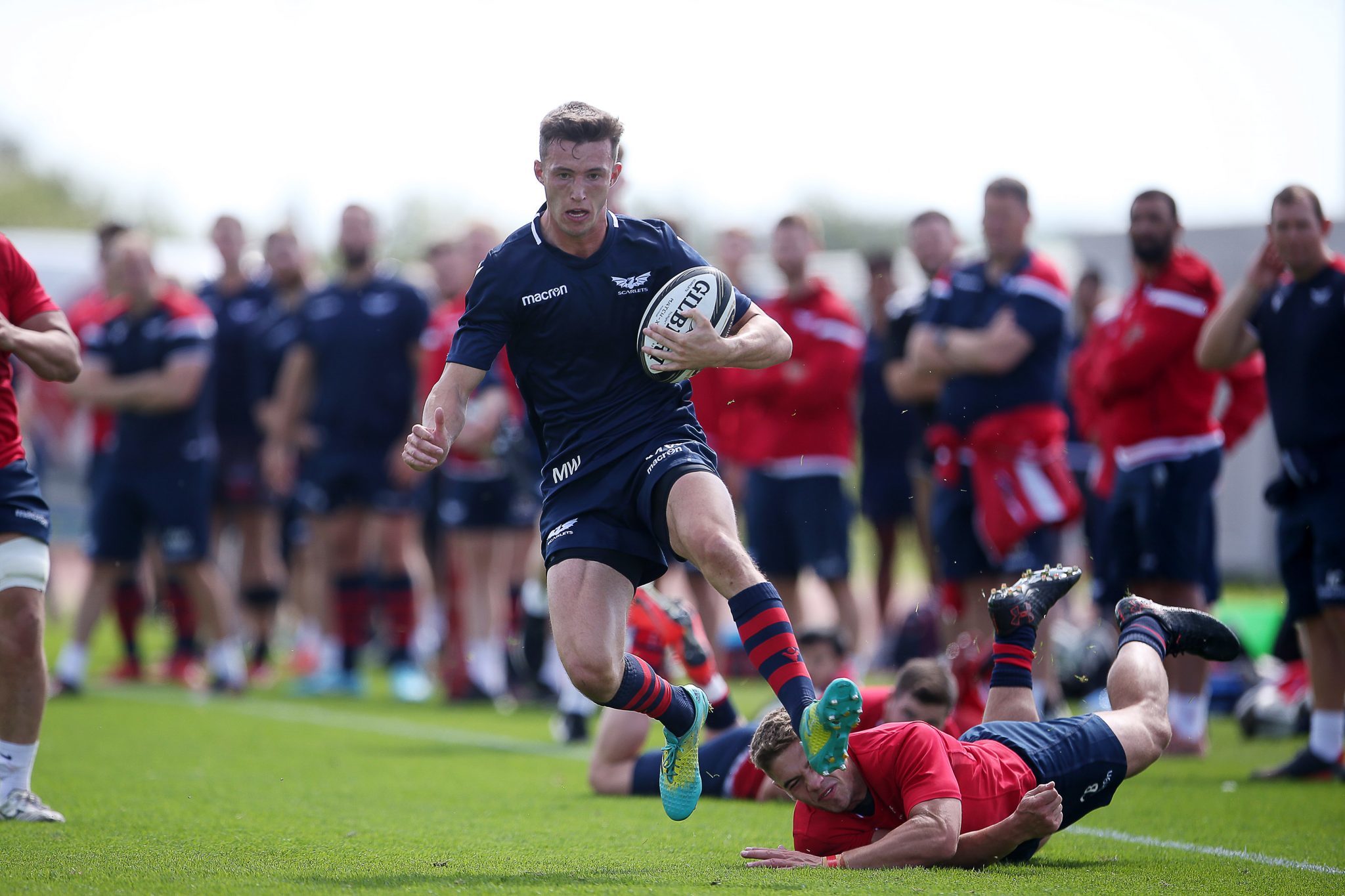 Scarlets enjoy preseason hit out at Parc y Scarlets Scarlets Rugby