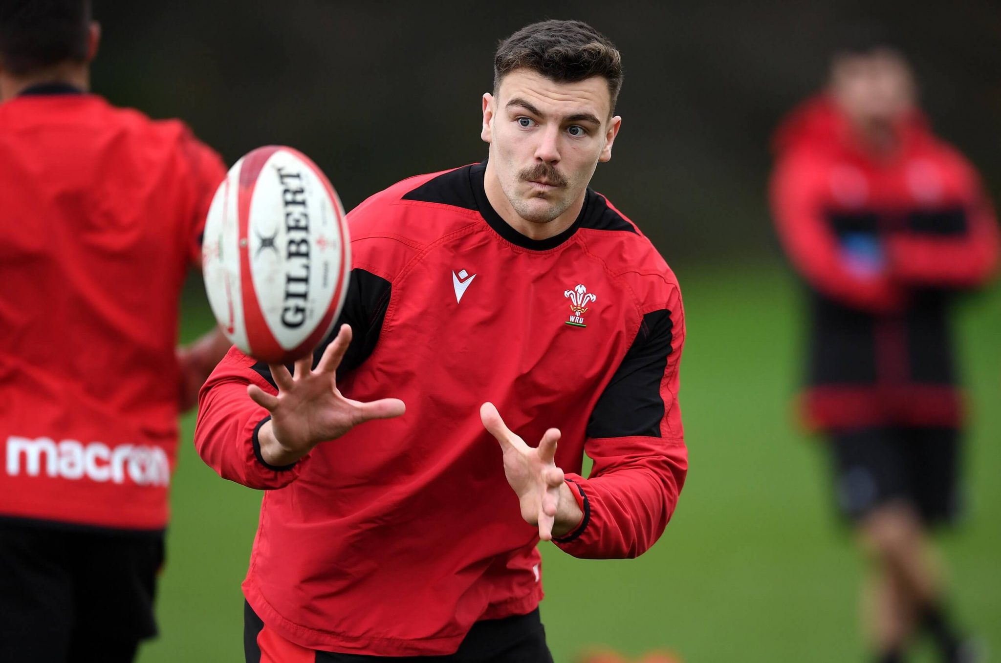scarlets rugby top