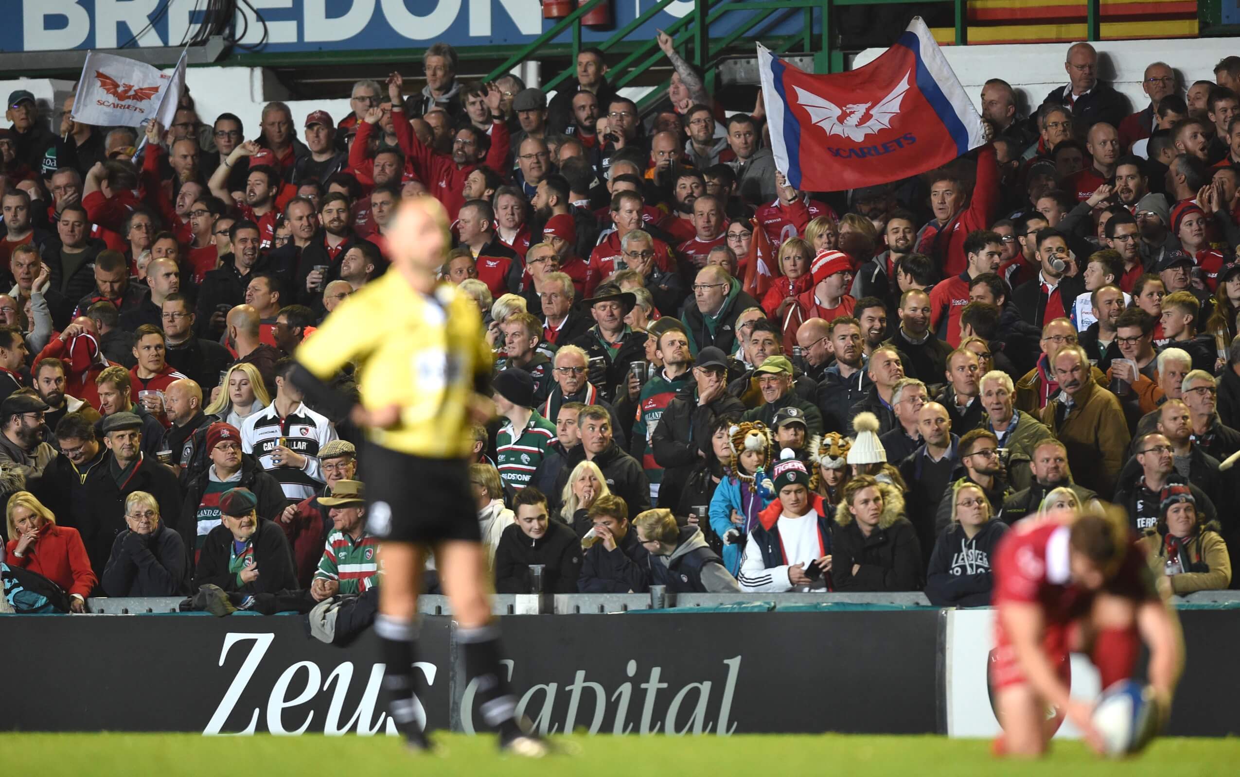 Scarlets to take on Tigers in pre-season - Scarlets Rugby