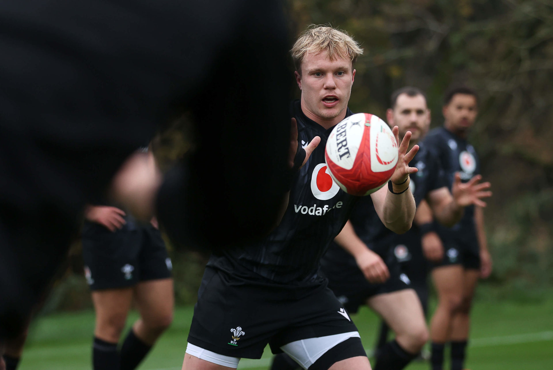 Blair Murray to win first Wales cap against Fiji - Scarlets Rugby