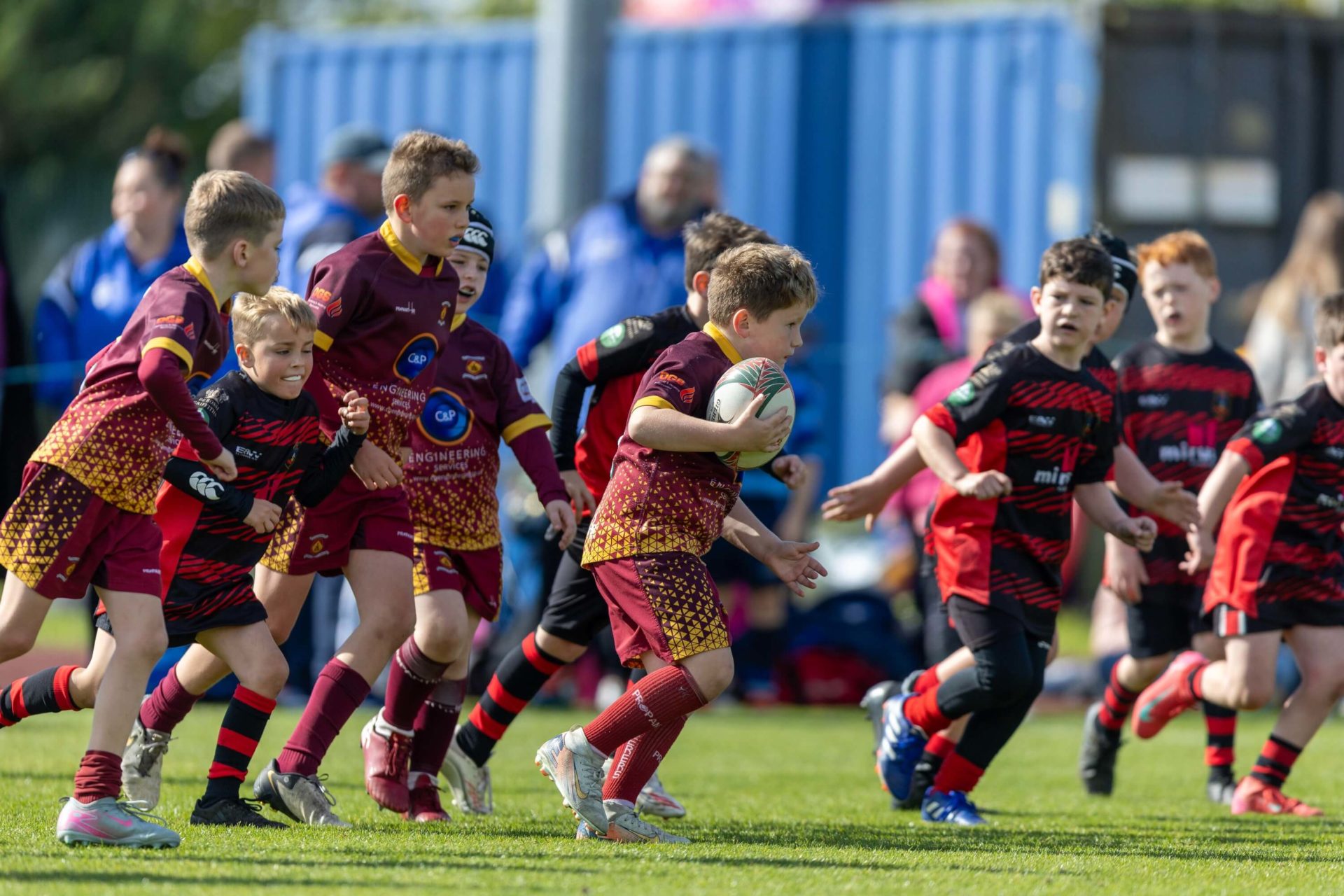 Limited spaces remaining for Scarlets v Cardiff pre-match festival ...