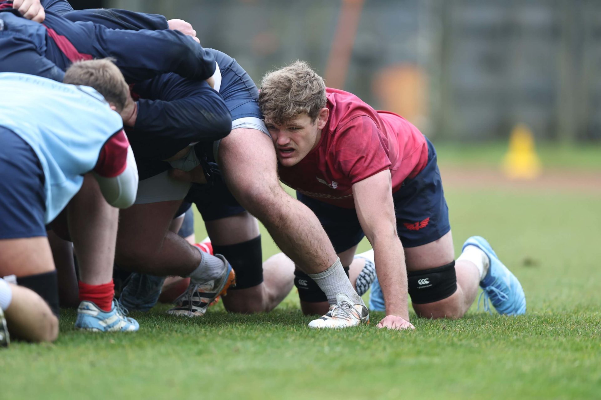 Taylor Rees Rugby Taine relishing return to action - Scarlets Rugby