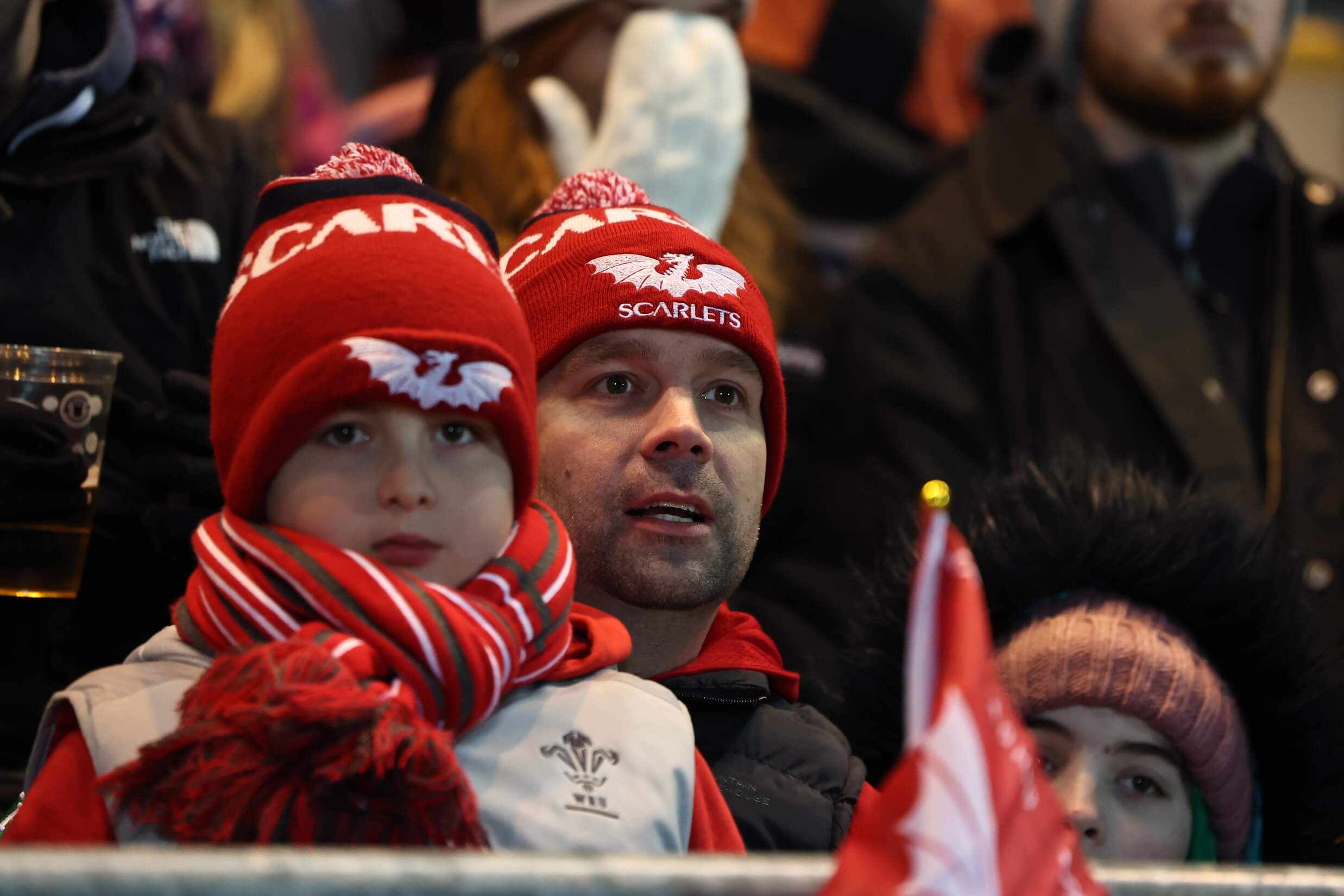 Scarlets launch new Family Season Ticket to welcome the next generation ...